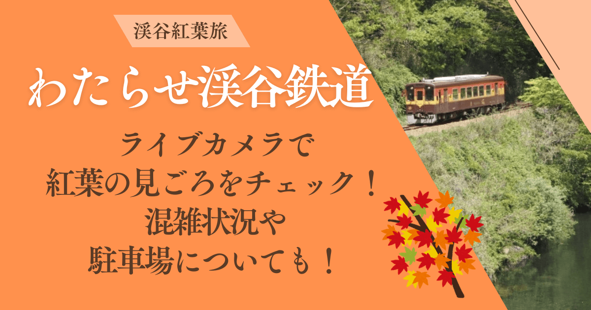 わたらせ渓谷鉄道　ライブカメラ　見ごろ　現在　リアルタイム　駐車場　混雑状況　混雑回避